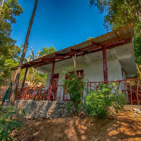 Dulmini Homestay Ella Exterior foto